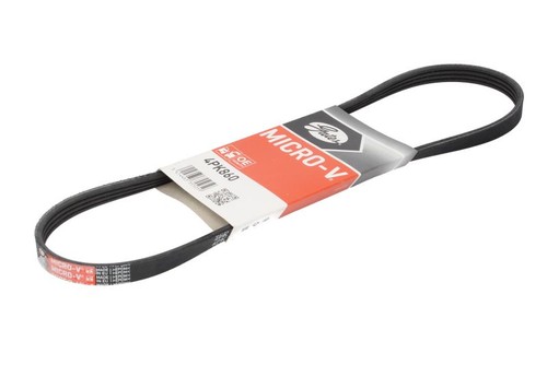 Gat multi ribbed belt - ribbed,