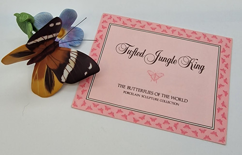 Tufted jungle king - tufted,