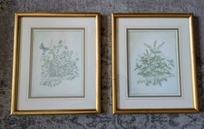Pair/bundle of framed botanical herb art prints. Vintage