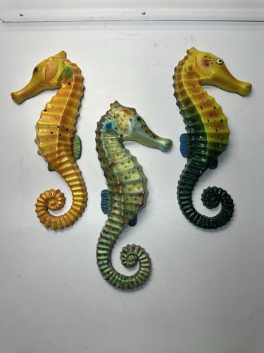 Sea horse tropical - sea,