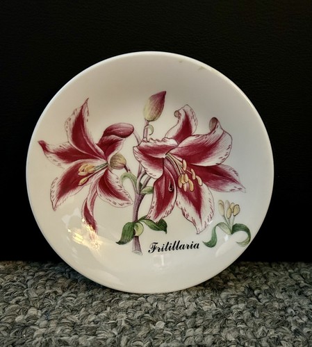 Royal kendal bone china - kendal,