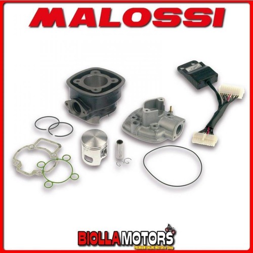 3112044 cylinder kit malossi - cylinder,