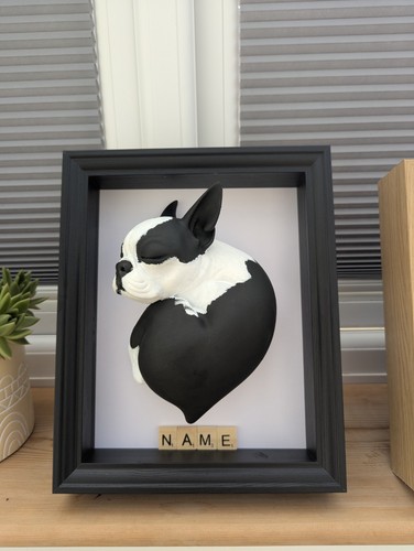 Boston terrier frame - frame, hand