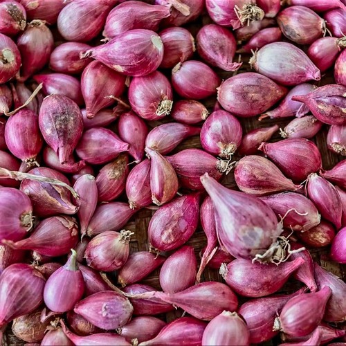 Thai shallots 100 natural - thai,