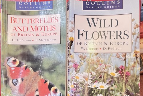 Collins nature guides set - nature,
