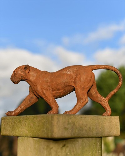 Realistic leopard outdoor - leopard,