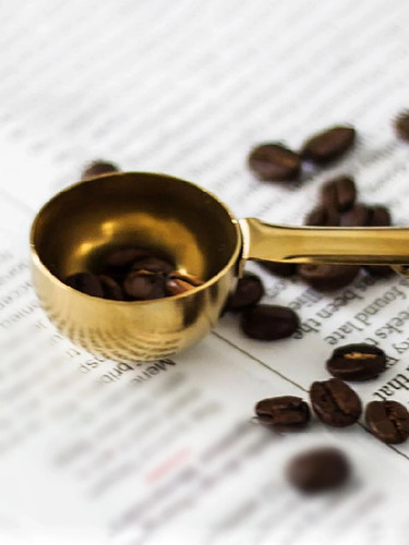 Stainless steel coffee scoop - steel,