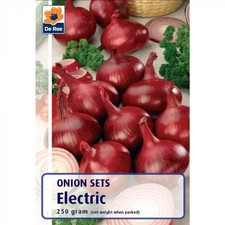 Red Onion Sets Electric - High