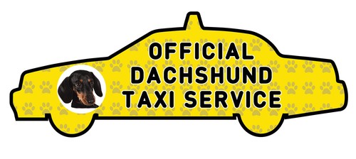 Funny dachshund taxi - dachshund,