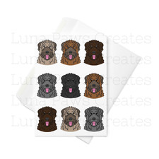 Bouvier Des Flandres card