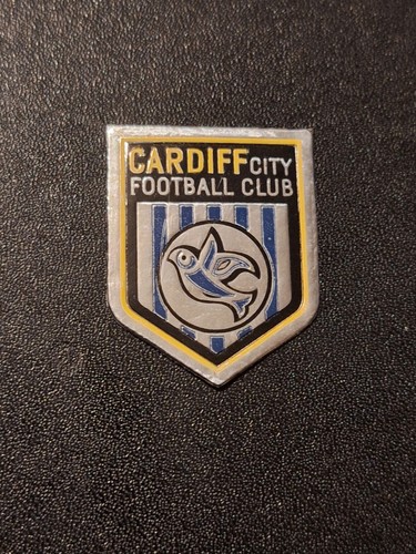 Cardiff city football club - cardiff,