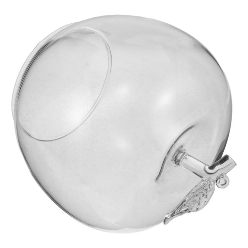 Clear glass dome cover fruit - dome,