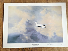 David Shepherd Afternoon