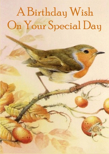 Happy birthday greetings - happy, card
