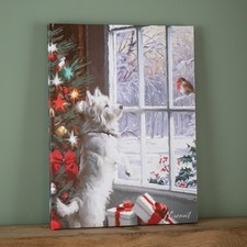 40cm x 30cm Battery Operated