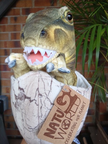 Baby tyrannasaurus rex - rex, egg