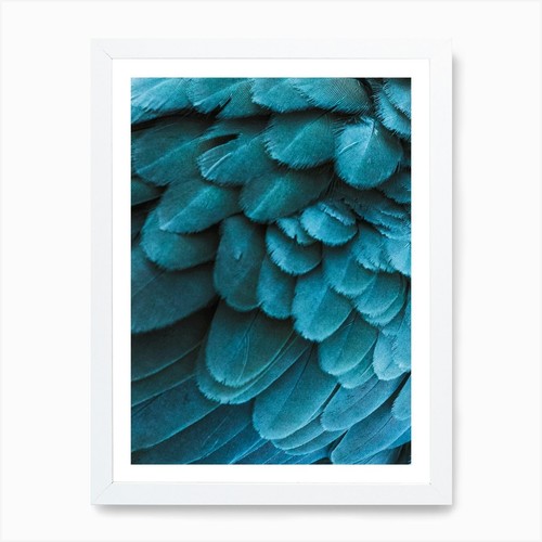 Blue macaw feathers art - feathers, print