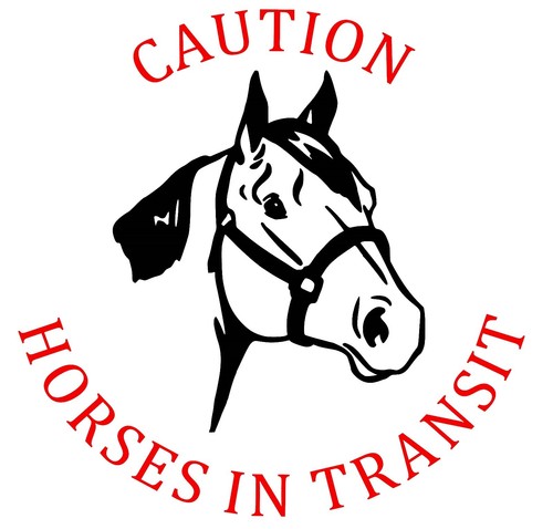 Horsebox horse trailer - trailer, decal
