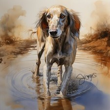 Watercolor Saluki Dog Painting