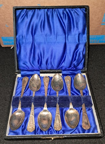 Antique epns spoon set - set, case