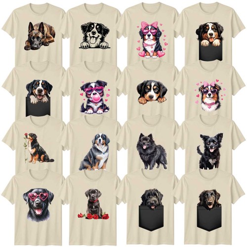 Dogs animal dog pet black - dogs,