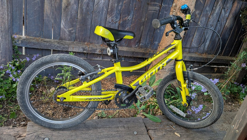 Giant arx kids bike 16in - giant,