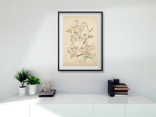 Rennie mackintosh framed print - rennie,