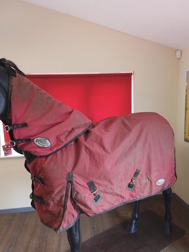 Red rhinegold turnout rug - rhinegold,