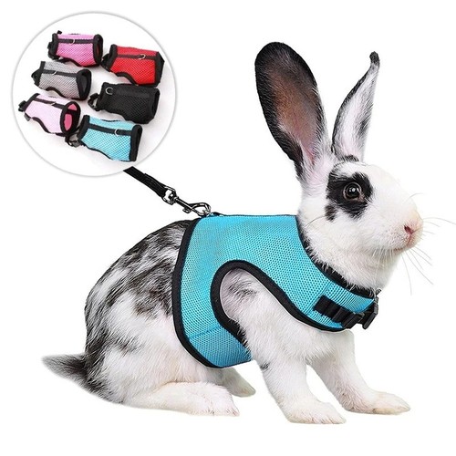 Adjustable rabbit harness - adjustable,