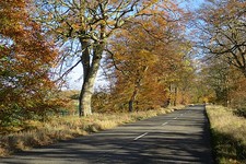 Photo 6x4 Lanark Road