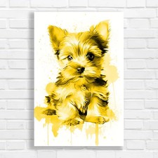 Adorable Yorkie Puppy Yellow