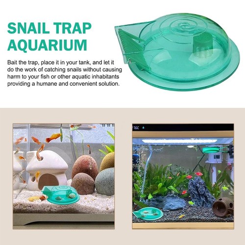 Aquarium snail trap pest catch - aquarium,