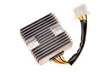 Kawasaki GPZ250R Electrex