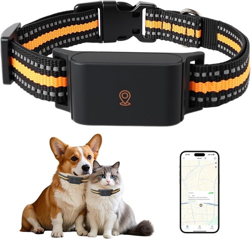 Cat tracker pet - pet,
