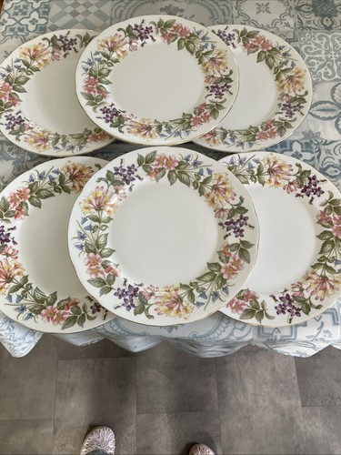 Dinner plates paragon china - paragon,