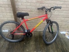 Indi Integer  Mountain Bike