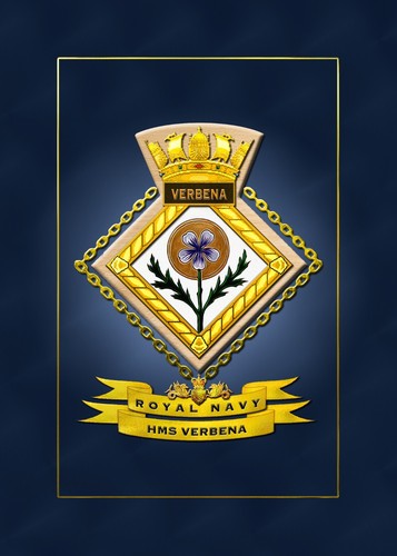 Hms verbena framed ships - hms,