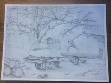 Wood Mizer Scots Pine Signed C Wagstaff Countryside Drawing Dated 1991 Ltd Ed