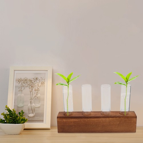 Hydroponic glass plant vase - hydroponic,