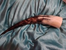 Viking-Style Horn Drinking