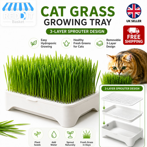 Cat grass growing kit - cat,
