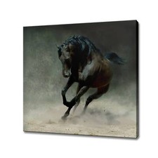 Black arabian horse canvas - canvas, art