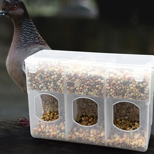 Reusable plastic quail feeder - reusable,