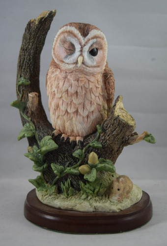 Tawny owl with mouse - tawny,