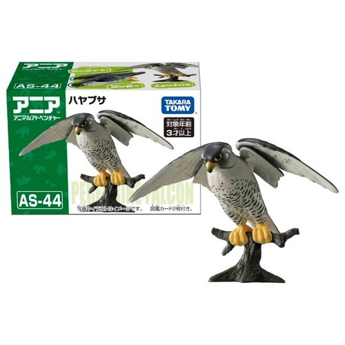 Ania peregrine falcon - ania, as-44