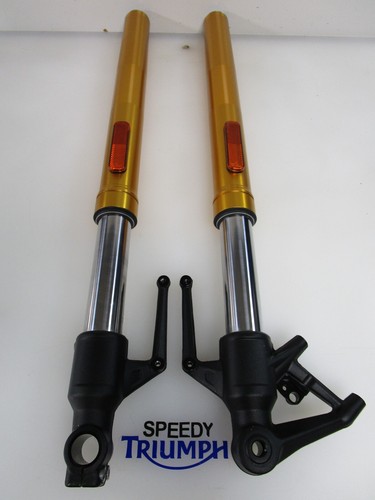 Triumph speed 400 forks legs - triumph,