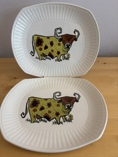 English Ironstone Pottery Set