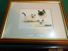 Robert J May Birman 3 Cats