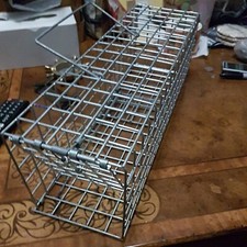 SQUIRREL TRAP UK MADE HEAVY DUTY. FREE BAIT. SUPPORT PONTELAND  RED SQUIRRELS!!