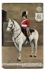 Trooper 2nd Dragoons Royal